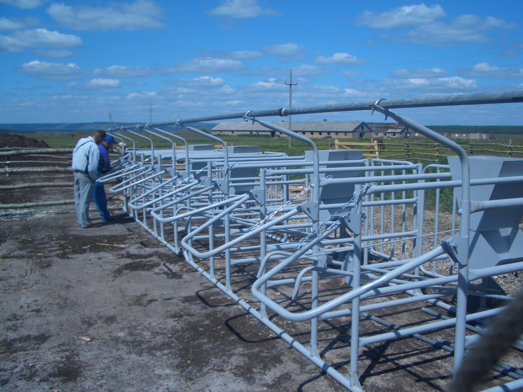 Стойловое оборудование к УДС (4 места)