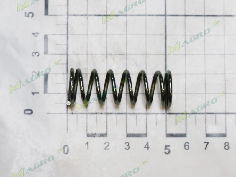 Пружина эксцентрика камнеотвода GD10519, оригинал
