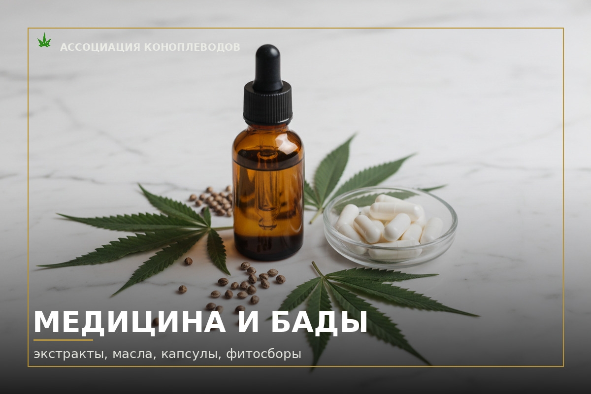 Медицина и бады