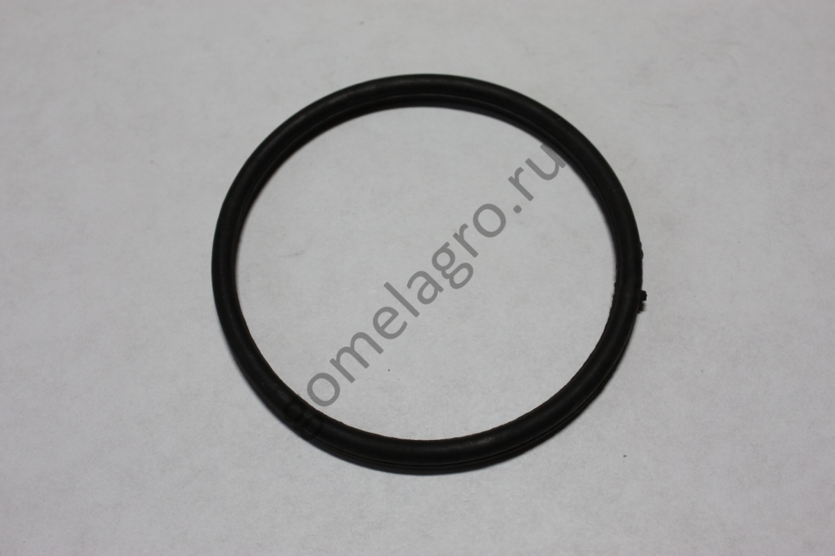 Кольцо АДСН 16.00.009 Кольцо АДСН 16.00.009