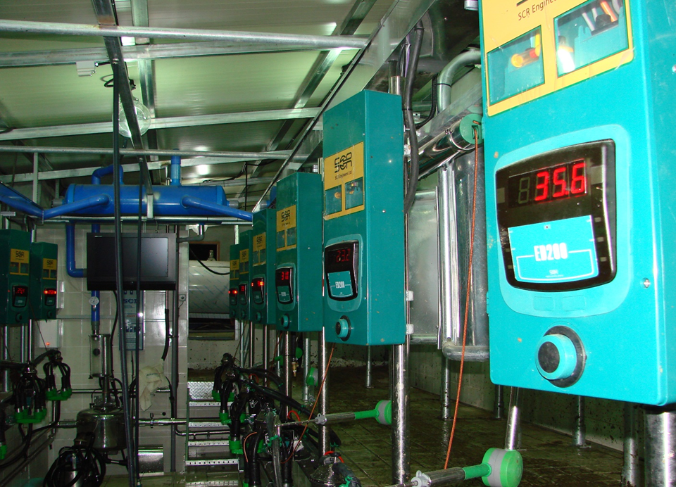 Доильный зал типа "Ёлочка" 2х12