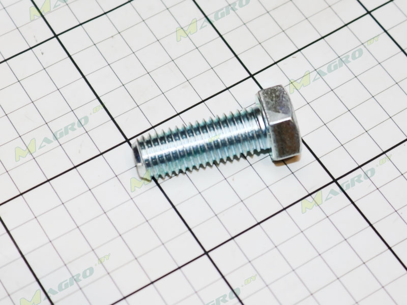 Болт G10005 (диска сошника прав. подш. 5204), оригинал