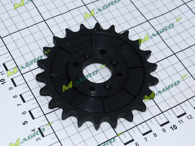 Звездочка блока кор. пер. Z=22 G66248167R, оригинал