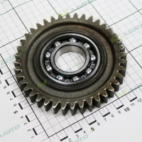 Шестерня Z=40 (1007) 4152040 (18032479)