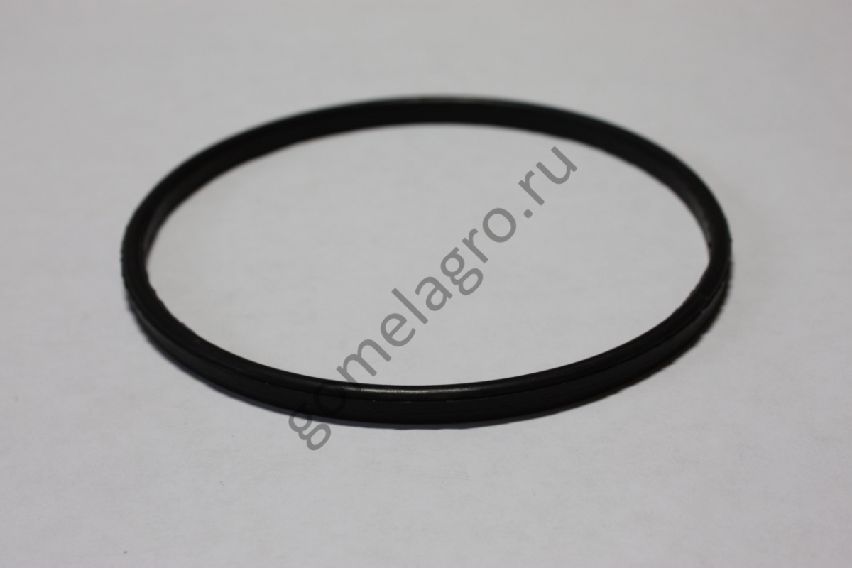 Кольцо АДС 09.01.019 Кольцо АДС 09.01.019