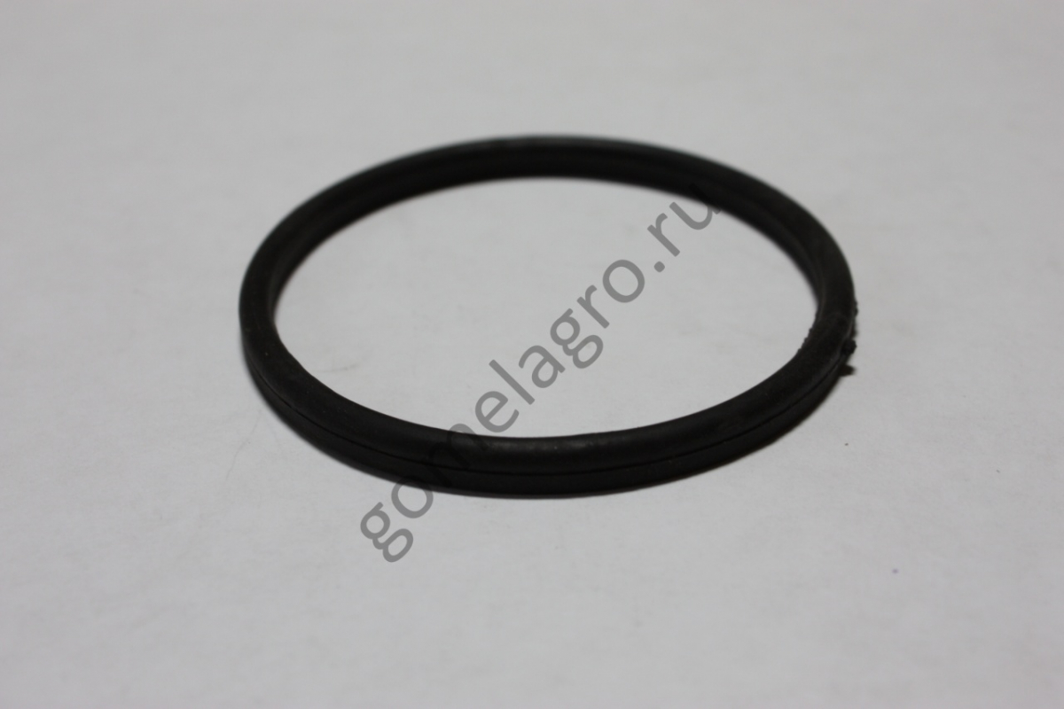 Кольцо АДСН 16.00.009 Кольцо АДСН 16.00.009