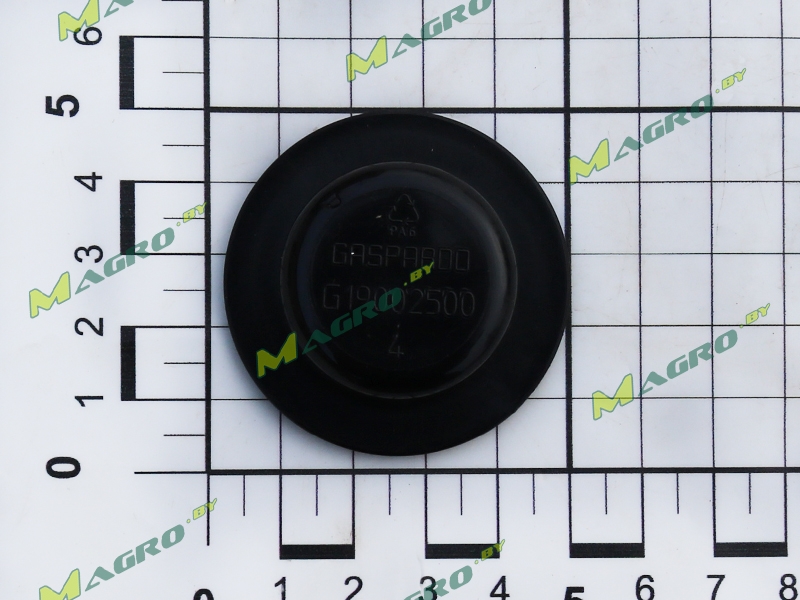 Заглушка G66248248R, оригинал