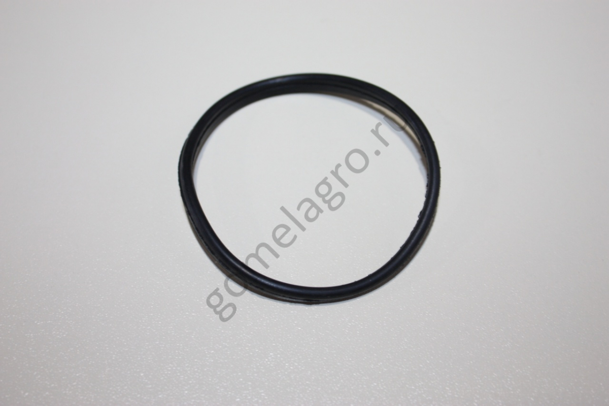 Кольцо уплотнительное РВ 01/016 Кольцо уплотнительное РВ 01/016
