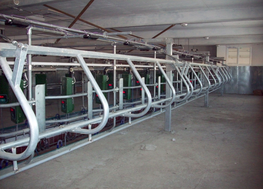 Доильный зал типа "Ёлочка" 2х12