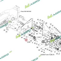 Звездочка 1.323.895, Donghua