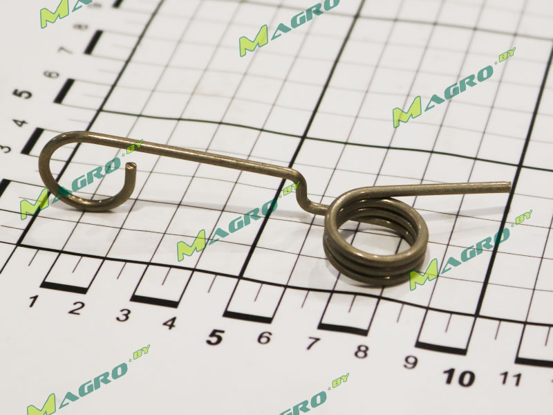 Пружина 10031430, оригинал