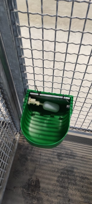 Индивидуальная поилка для КРС и МРС, 3 литра Индивидуальная поилка для КРС и МРС, 3 литра