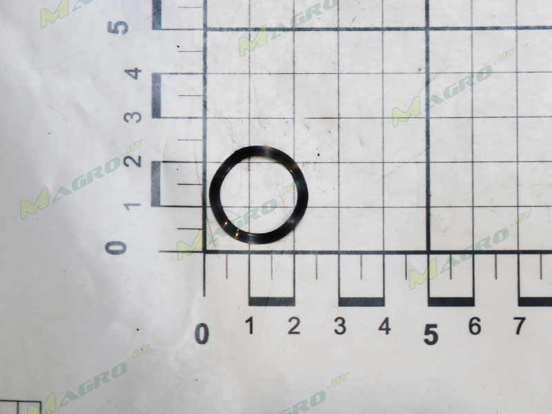 Шайба пружинная (волнистая, мех. высев. аппарат) GA8343, оригинал