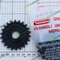 Звездочка блока кор. пер. Z=22 G66248167R, оригинал