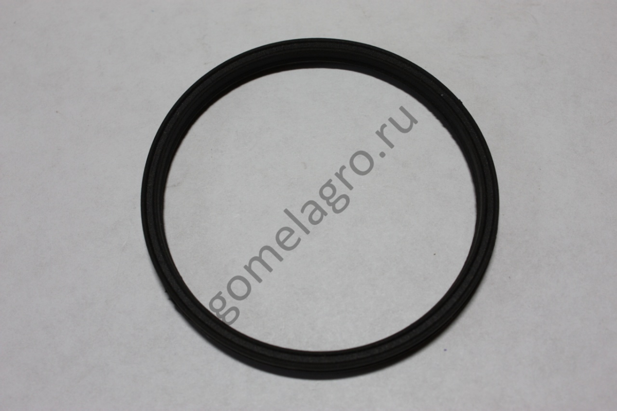 Кольцо АДСН 16.00.009 Кольцо АДСН 16.00.009