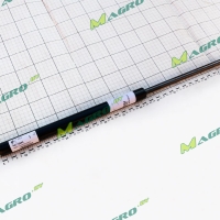 Пневмоцилиндр АС486984