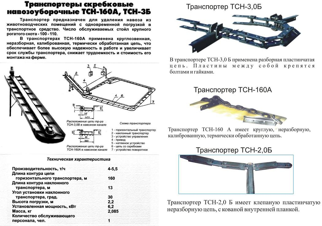 Устройство тсн. Транспортер скребковый навозоуборочный ТСН-160. Навозоуборочный транспортёр ТСН–3,0б. Транспортер навозоудаления ТСН-160. Навозоуборочный Транспортер ТСН-160.
