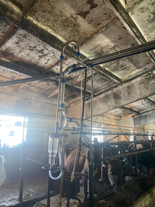 Ремонт и модернизация молокопроводов