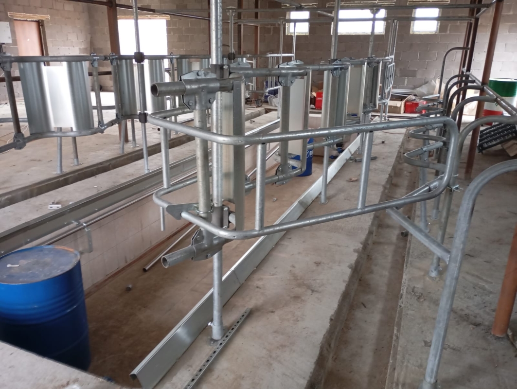 Доильный зал "ЁЛОЧКА".