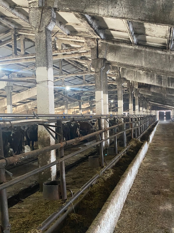 Ремонт и модернизация молокопроводов