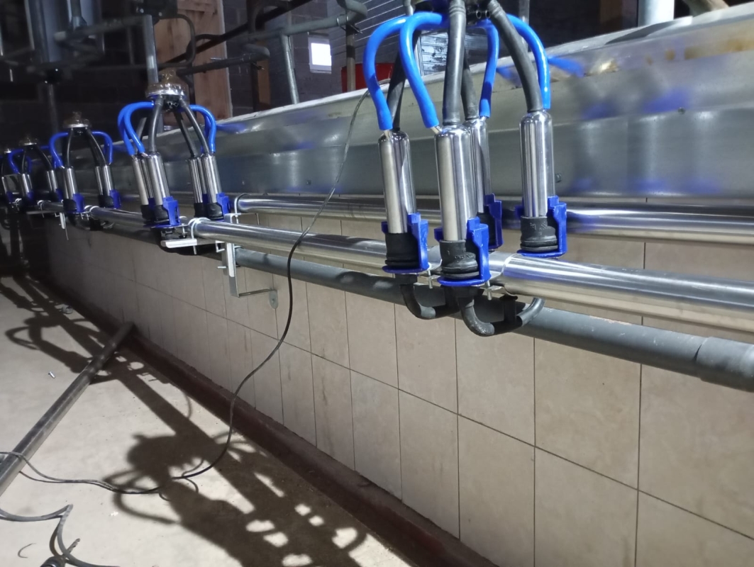 Доильный зал "ЁЛОЧКА".