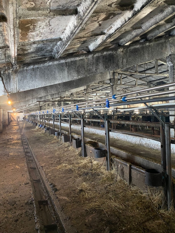 Сертифицированный молокопровод