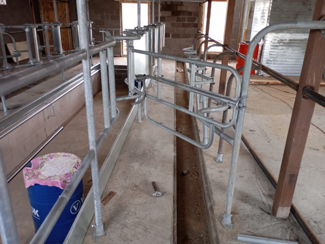 Доильный зал "ЁЛОЧКА".