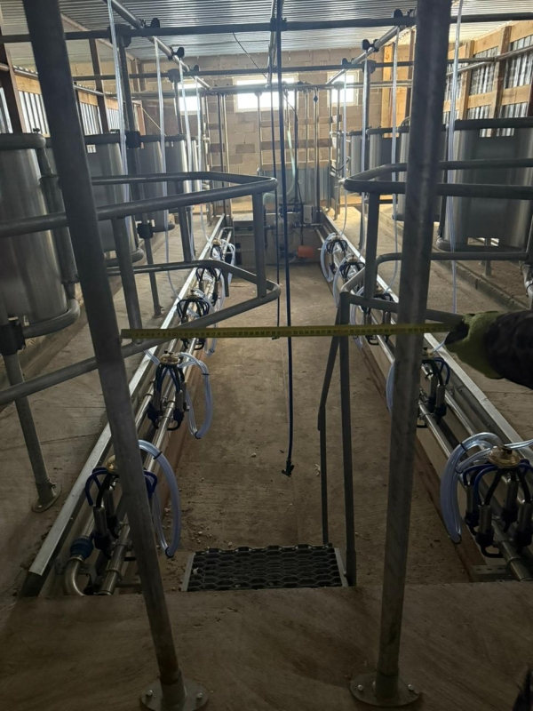 Доильный зал "ЁЛОЧКА".