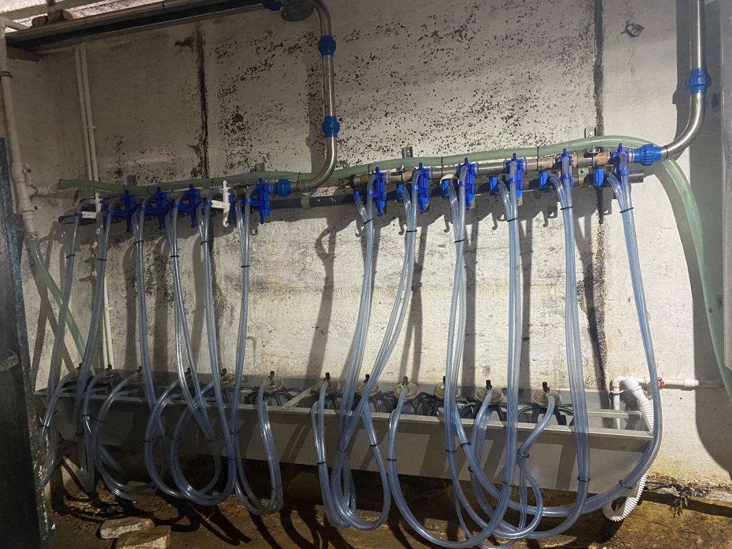 Сертифицированный молокопровод