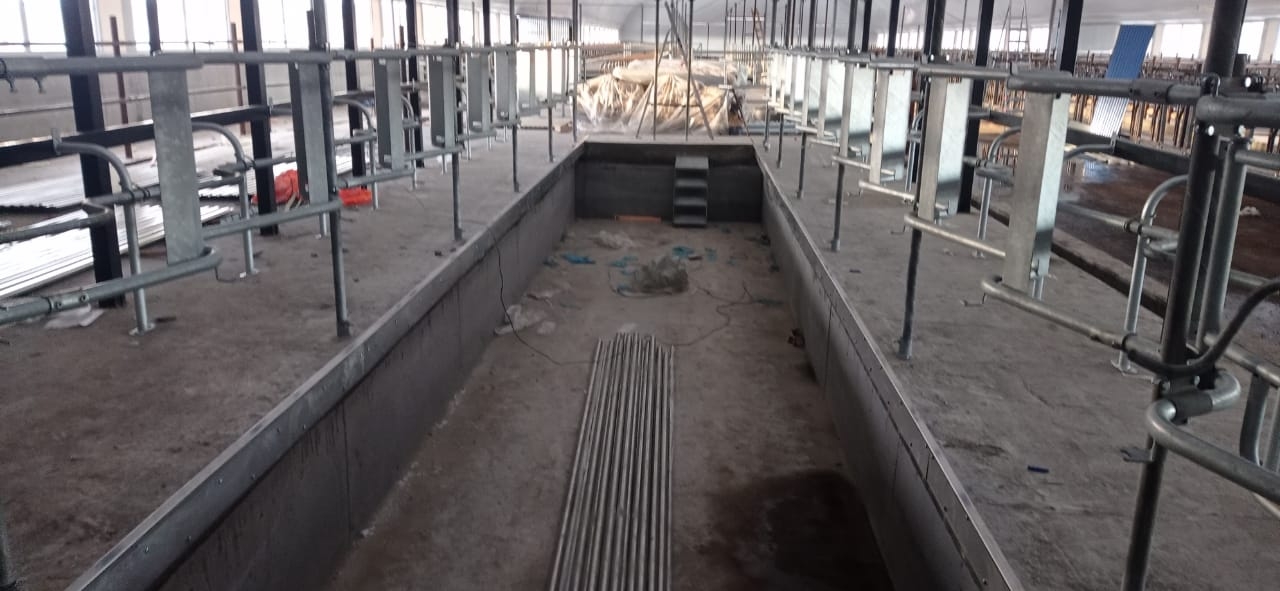 Доильный зал "ЁЛОЧКА".