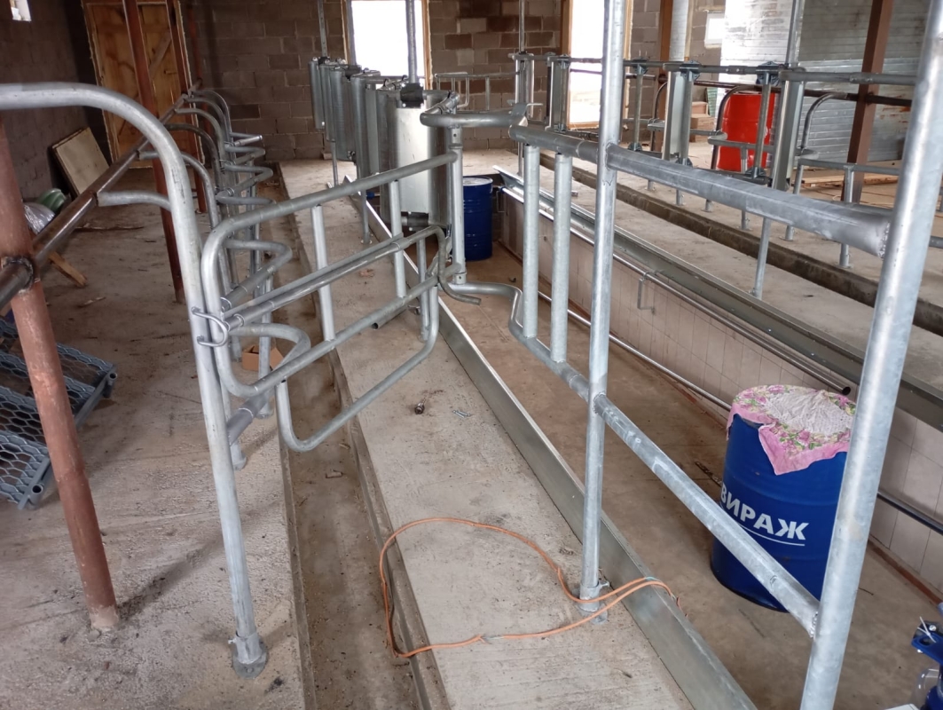 Доильный зал "ЁЛОЧКА".