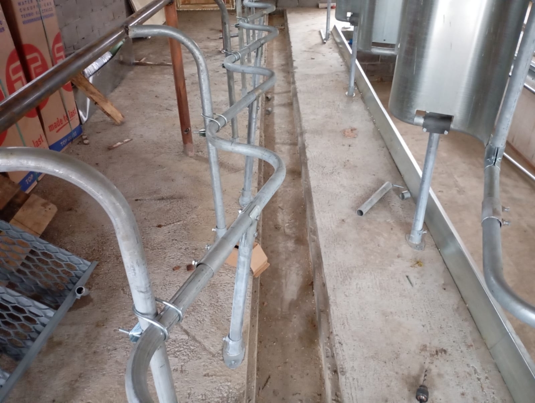 Доильный зал "ЁЛОЧКА".