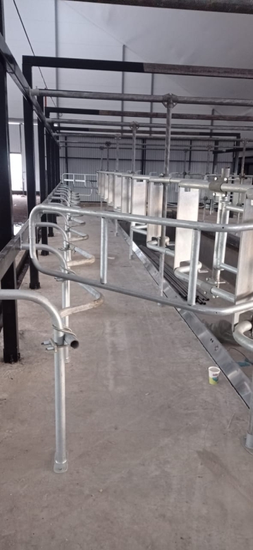 Доильный зал "ЁЛОЧКА".