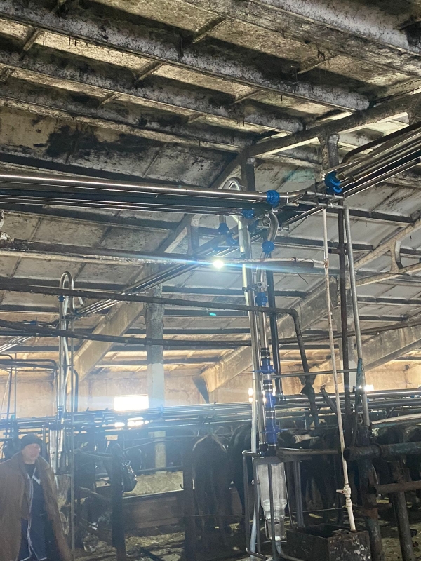 Ремонт и модернизация молокопроводов