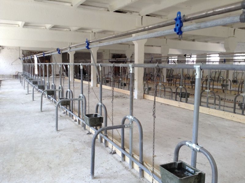 Поилка для коров (КРС)