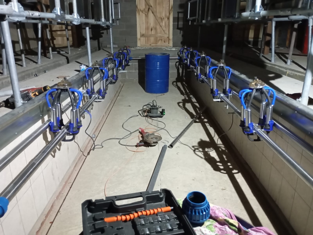 Доильный зал "ЁЛОЧКА".